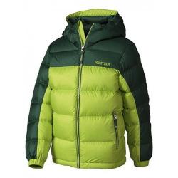 Marmot Boy's Guides Down Hoody куртка для парней vermouth/deep forest p.XL (MRT73700.4674-XL)