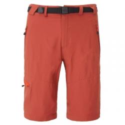 Картинка Штаны The North Face M PASEO SHORT