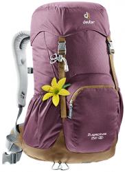 Картинка Deuter Рюкзак Zugspitze 22 SL цвет 5607 aubergine-lion