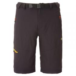 Штаны The North Face M PASEO SHORT (T0A0UL)