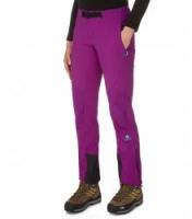 Штаны The North Face W ASTEROID PANT